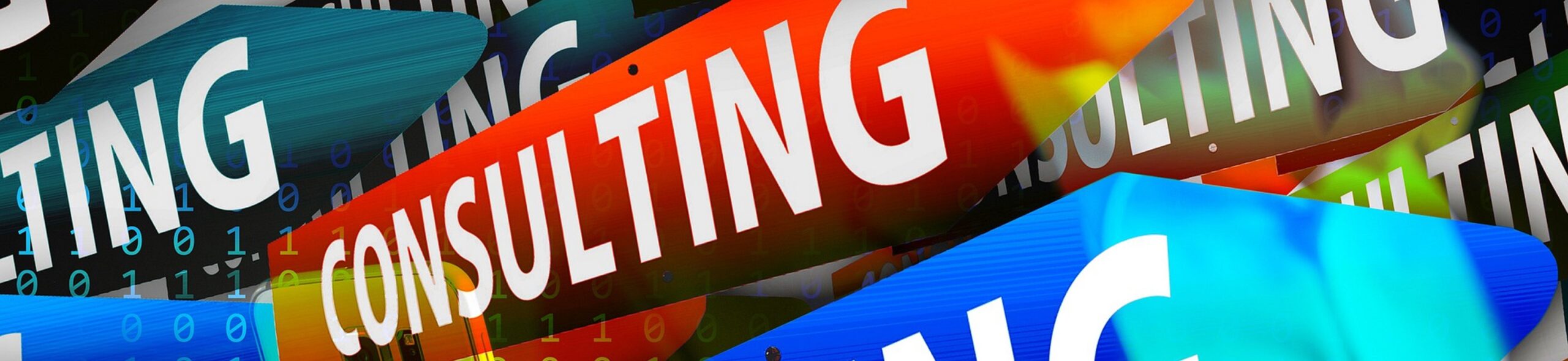 Consultanță în achizițiile IT